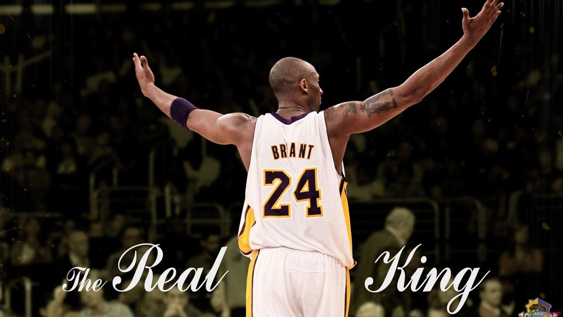 开云·体育官网APP下载-羽毛球世锦赛国羽多线夺冠，羽毛球 世锦赛